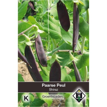 Paarse peul, Pisium sativum 'Shiraz' -zaden-