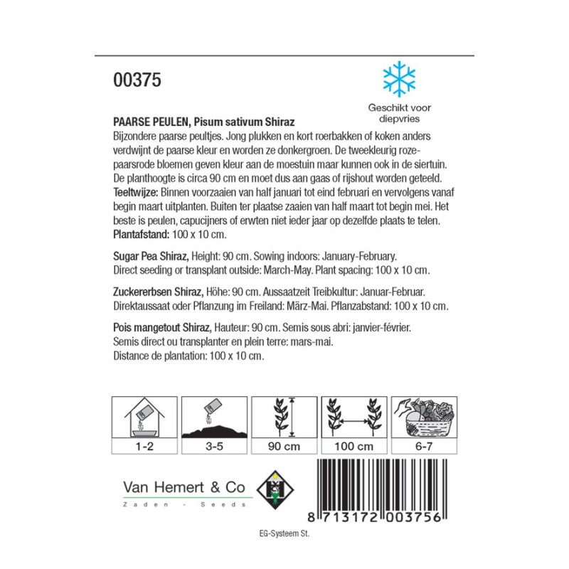 Paarse peul, Pisium sativum 'Shiraz' -zaden-