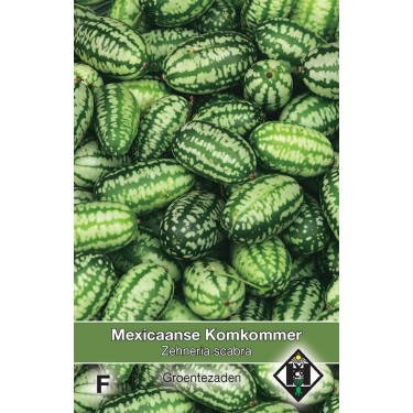 Mexicaanse Komkommer, Zehneria scabra -zaden-