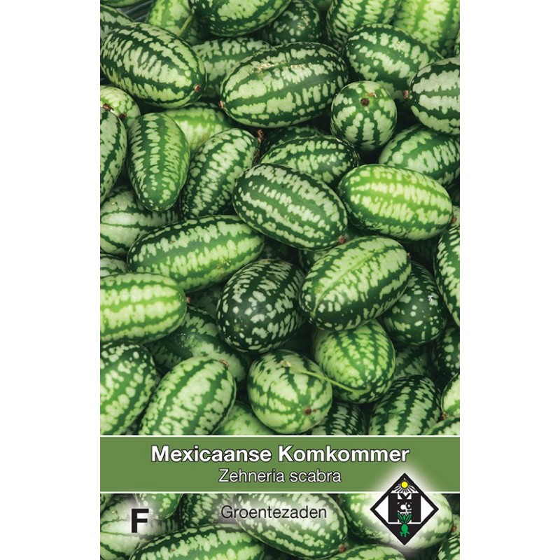 Mexicaanse Komkommer, Zehneria scabra -zaden-
