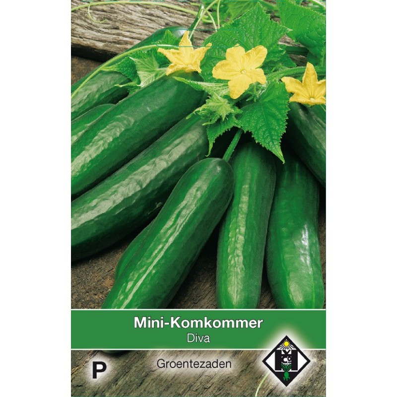 Mini Komkommer 'Diva' -zaden-