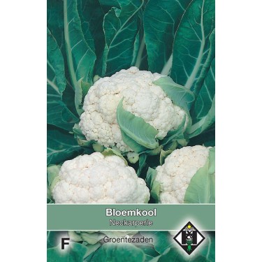 Bloemkool, Brassica oleracea botrytis 'Neckarperle' -zaden-
