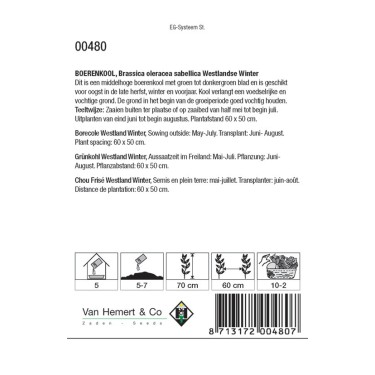 Boerenkool, Brassica oleracea sabellica 'Westlandse Winter' -zaden-