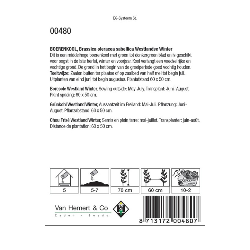 Boerenkool, Brassica oleracea sabellica 'Westlandse Winter' -zaden-