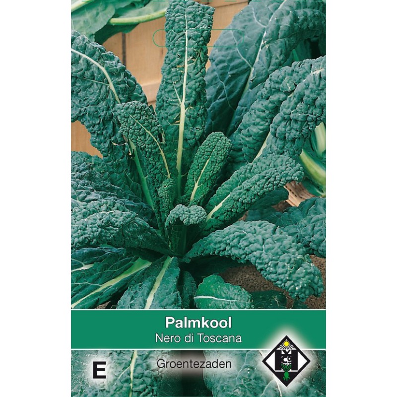Palmkool, Brassica oleracea sabellica 'Nero di Toscana' -zaden-