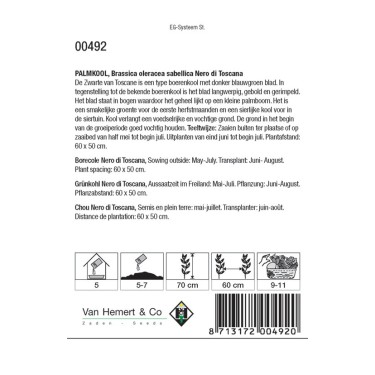 Palmkool, Brassica oleracea sabellica 'Nero di Toscana' -zaden-