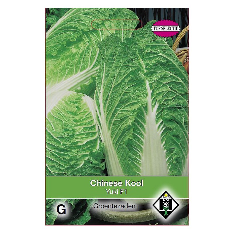 Chinese kool, Brassica pekinensis 'Yuki F1' -zaden-