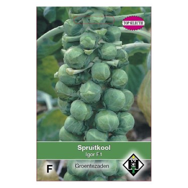 Spruitkool, Brassica oleracea gemmifera 'Igor F1' -zaden-