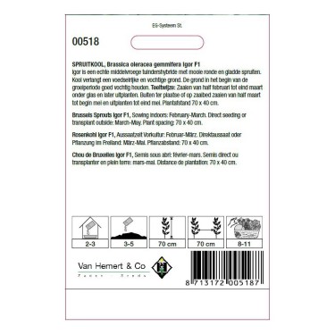 Spruitkool, Brassica oleracea gemmifera 'Igor F1' -zaden-