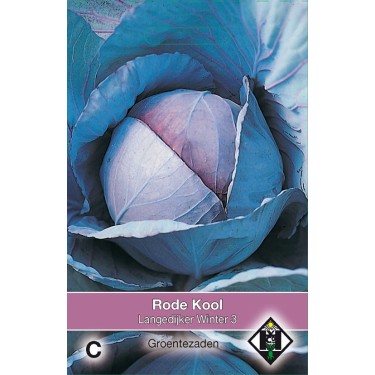 Rode kool, Brassica oleracea rubra 'Langedijker Winter 3' -zaden-