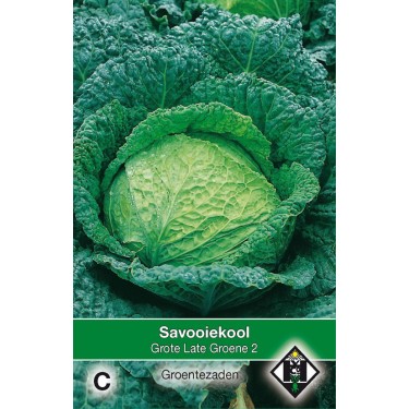 Savooiekool, Brassica oleracea sabauda 'Grote Late Groene 2' -zaden-