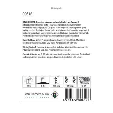 Savooiekool, Brassica oleracea sabauda 'Grote Late Groene 2' -zaden-