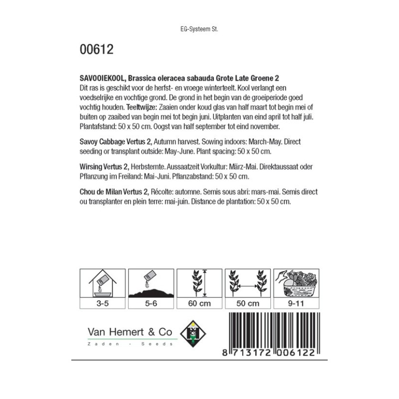 Savooiekool, Brassica oleracea sabauda 'Grote Late Groene 2' -zaden-