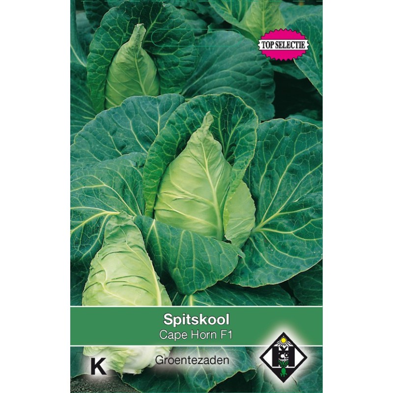 Spitskool, Brassica oleracea alba 'Cape Horn F1' -zaden-