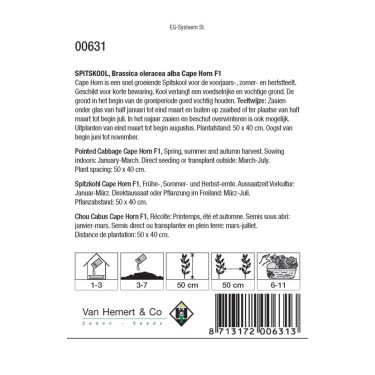 Spitskool, Brassica oleracea alba 'Cape Horn F1' -zaden-