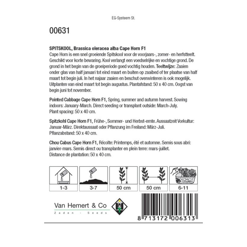 Spitskool, Brassica oleracea alba 'Cape Horn F1' -zaden-