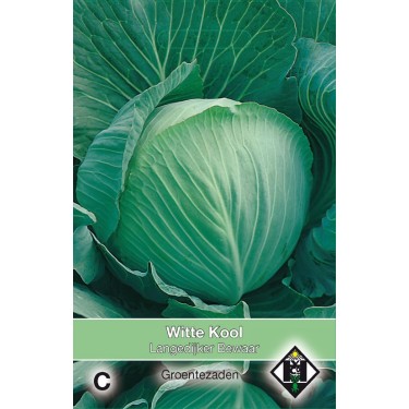 Witte kool, Brassica oleracea alba 'Langedijker Bewaar' -zaden-