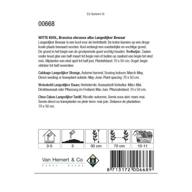 Witte kool, Brassica oleracea alba 'Langedijker Bewaar' -zaden-