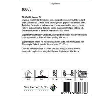 Groenlof, Cichorium intybus foliosum 'Uranus F1' -zaden-