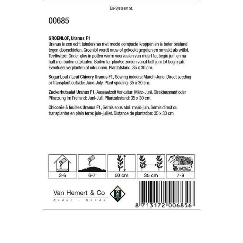 Groenlof, Cichorium intybus foliosum 'Uranus F1' -zaden-