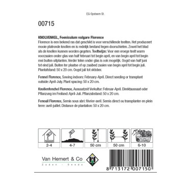 Knolvenkel, Foeniculum vulgare 'Florence' -zaden-