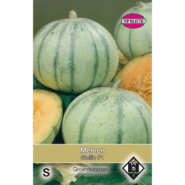 Meloen, Cucumis melo 'Stellio F1' -zaden-