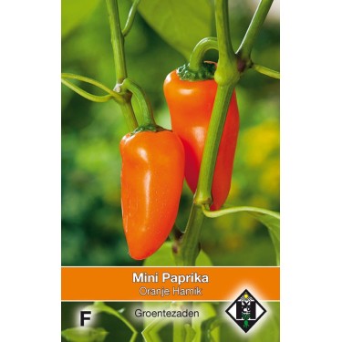 Paprika, mini Capsicum annuum 'Oranje Hamik' -zaden-