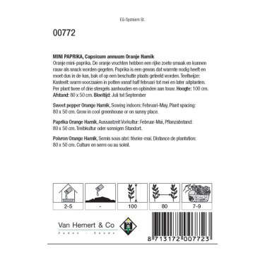 Paprika, mini Capsicum annuum 'Oranje Hamik' -zaden-