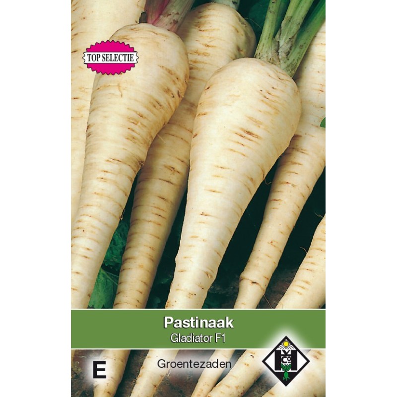 Pastinaak, Pastinaca sativa 'Gladiator F1' -zaden-