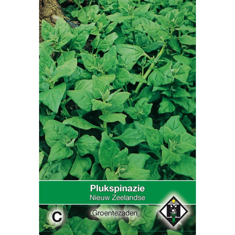 Plukspinazie, Tetragonia expansa 'Nieuw Zeelandse' -zaden-