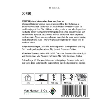 Pompoen, Cucurbita maxima 'Rode van Etampes' -zaden-