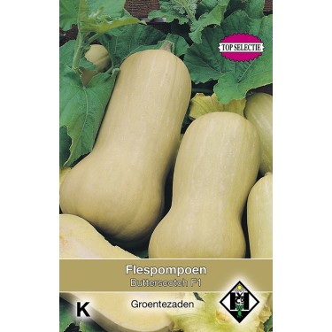Flespompoen, Cucurbita moschata Butterscotch F1 -zaden-