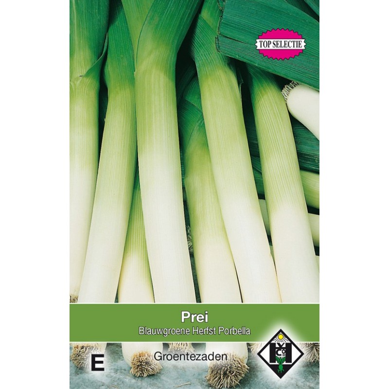 Prei, Allium porrum 'Blauwgroene Herfst Porbella' -zaden-