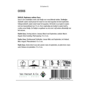 Radijs, Raphanus sativus 'Saxa' -zaden-