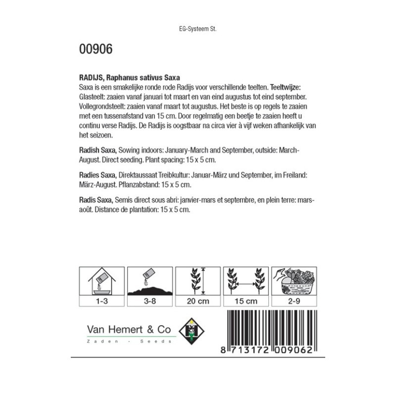 Radijs, Raphanus sativus 'Saxa' -zaden-