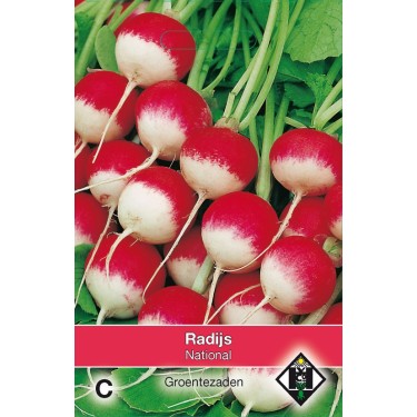 Radijs, Raphanus sativus 'National' -zaden-