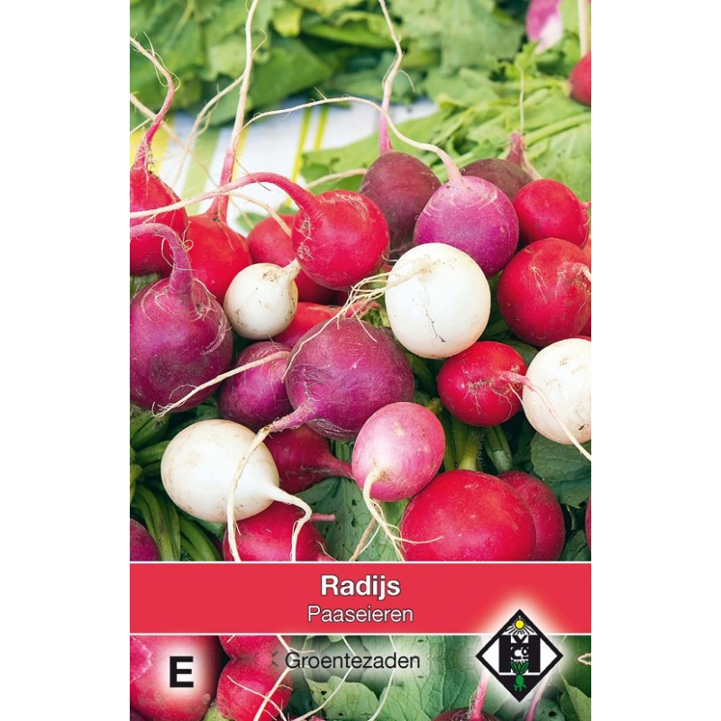 Radijs, Paaseieren -zaden-