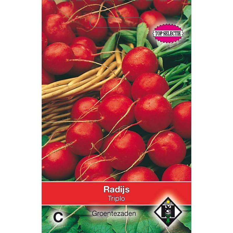 Radijs, Raphanus sativus 'Raxe' -zaden-