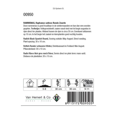 Rammenas, Raphanus sativus 'Ronde Zwarte' -zaden-