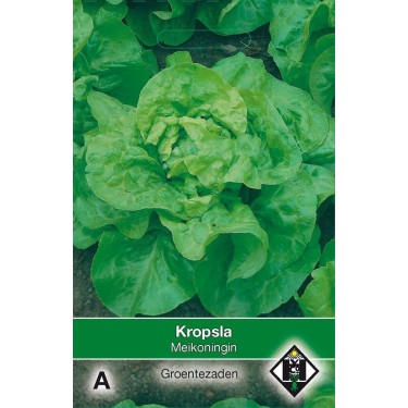 Kropsla, Lactuca sativa 'Meikoningin' -zaden-