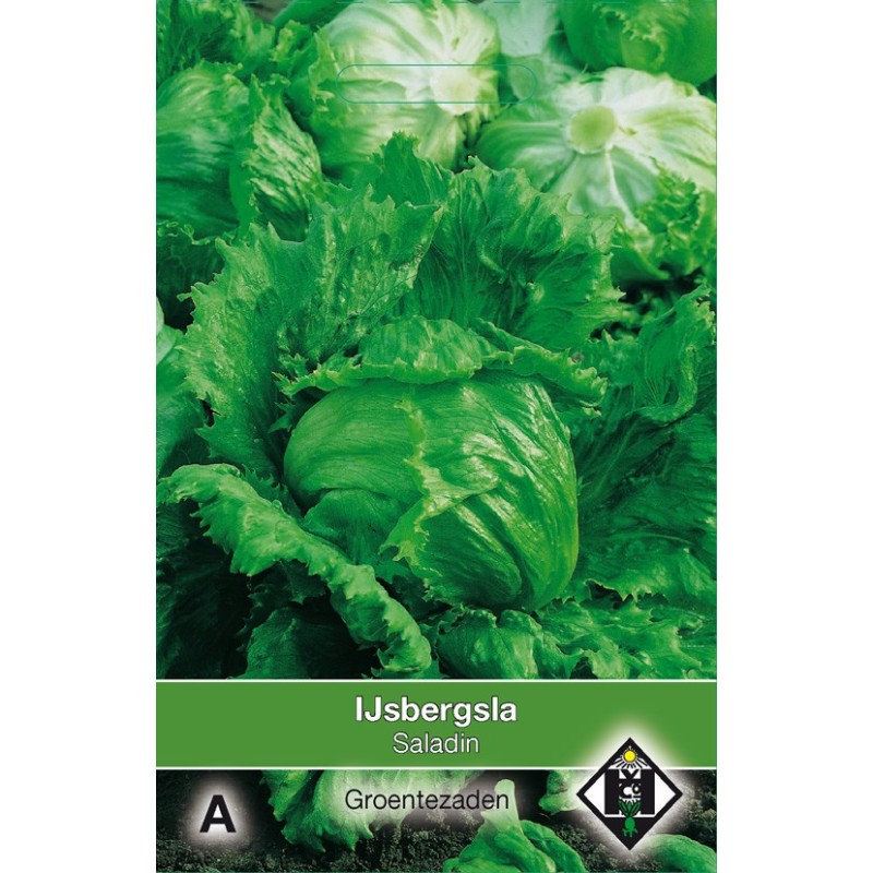 IJsbergsla, Lactuca sativa 'Saladin' -zaden-