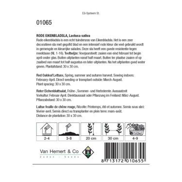 Rode Eikenbladsla, Lactuca sativa -zaden-