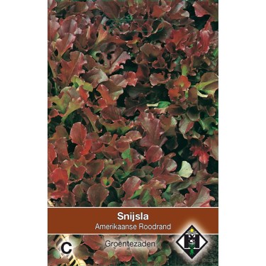 Snijsla, Lactuca sativa 'Amerikaanse Roodrand' -zaden-