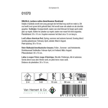 Snijsla, Lactuca sativa 'Amerikaanse Roodrand' -zaden-
