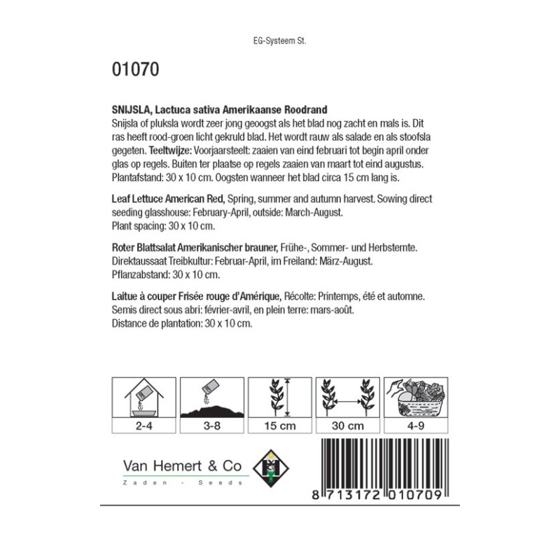 Snijsla, Lactuca sativa 'Amerikaanse Roodrand' -zaden-