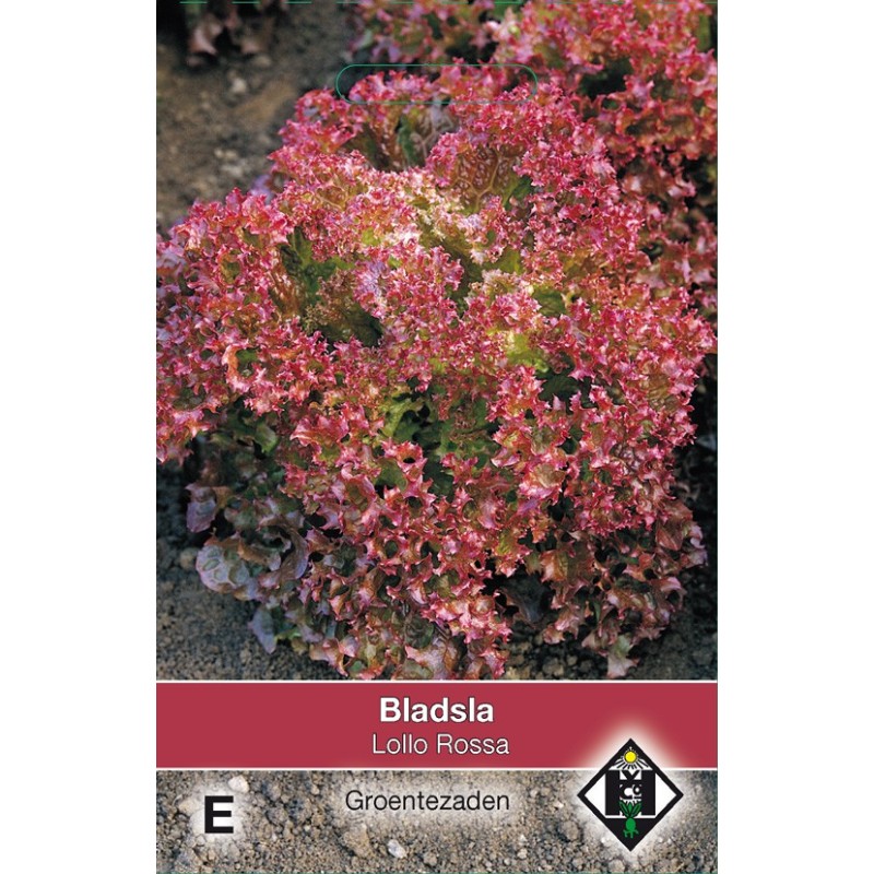 Bladsla Lollo Rossa, Lactuca sativa -zaden-