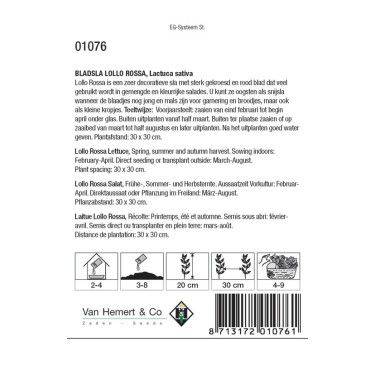 Bladsla Lollo Rossa, Lactuca sativa -zaden-