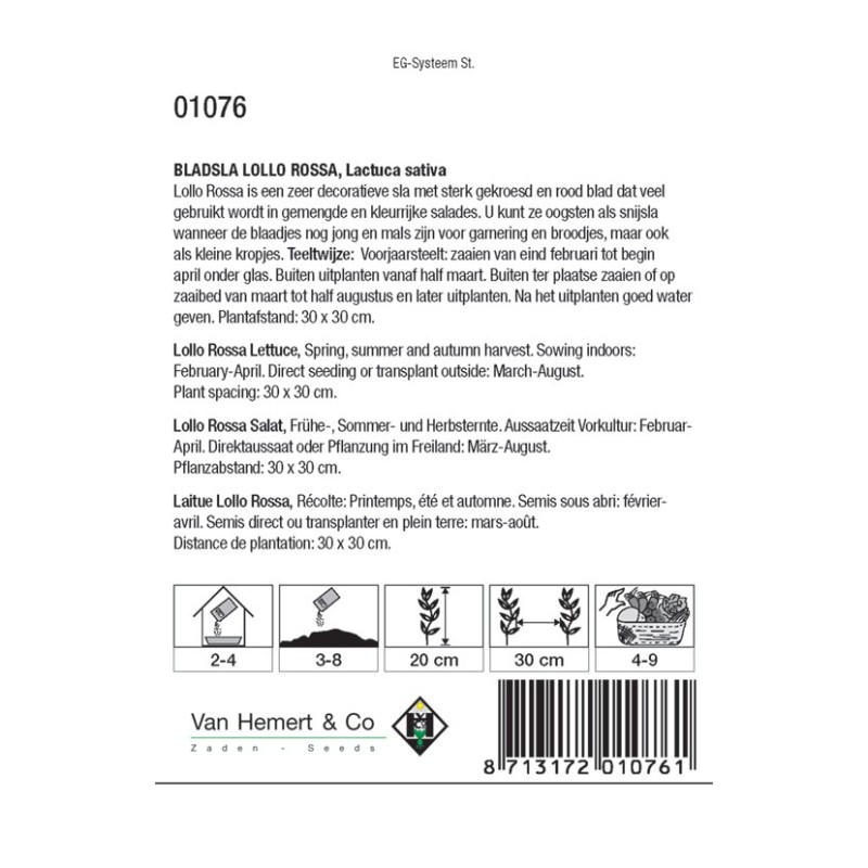 Bladsla Lollo Rossa, Lactuca sativa -zaden-
