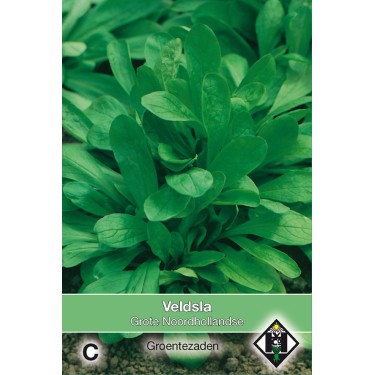 Veldsla, Valerianella locusta 'Grote Noordhollandse' -zaden-