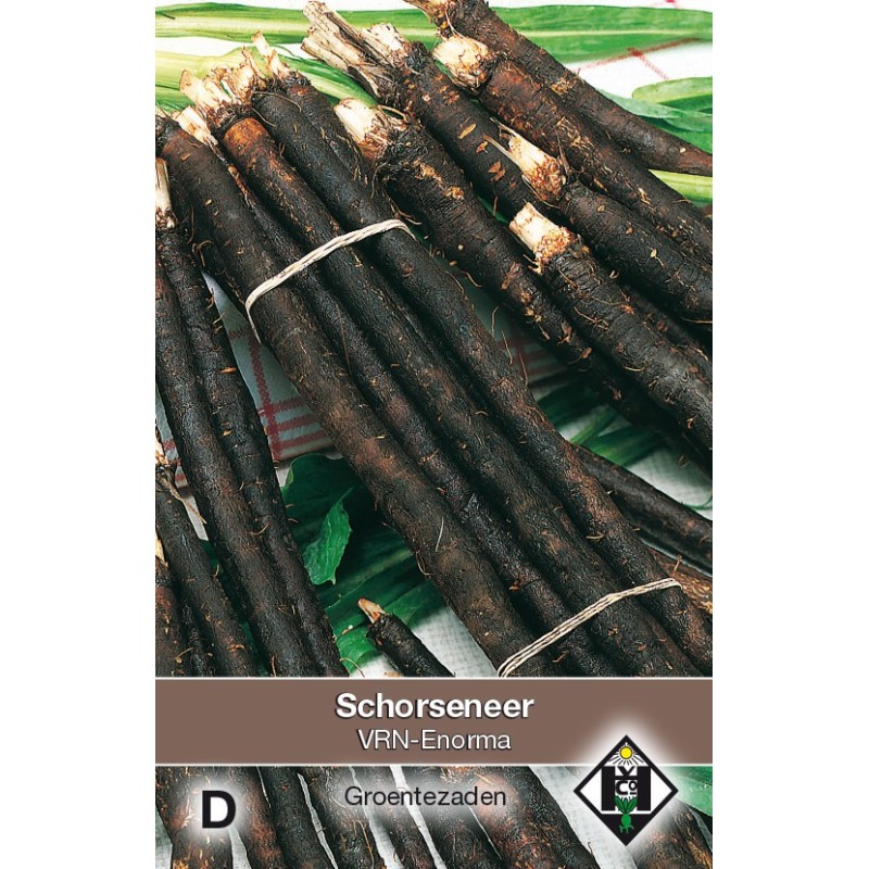Schorseneer, Scorzonera hispanica 'VRN-Enorma' -zaden-